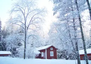 22 Winter pest control tips and tricks