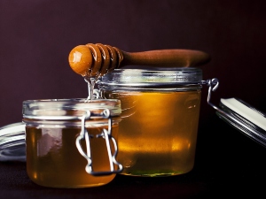 Can birds eat honey?