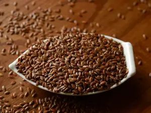 Can birds eat linseed?