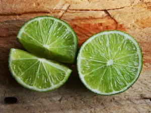 Can birds eat limes?