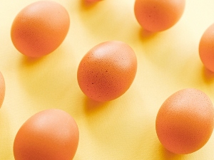 Warm Water Trick For Hatching Eggs (A Quick Guide +FAQ’s)