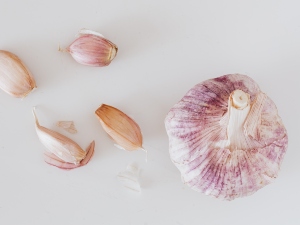 Can Birds Eat Garlic? (A Guide + FAQ’s)