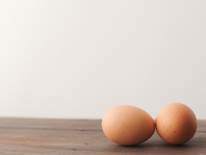 Chicken Laying Eggs Without Shell Or Membrane (Why And What To Do + FAQ’s)