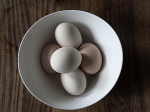 How to tell if a chicken egg is fertile with water?
