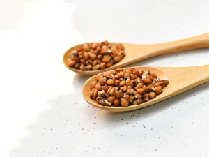 Can Birds Eat Uncooked Pearl Barley? (A Quick Guide + FAQ’S)