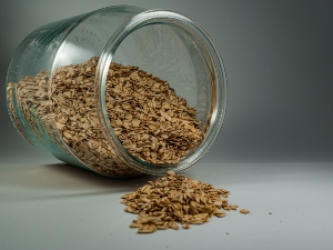Can Birds Eat Uncooked Oats? (A Guide + FAQ’s)
