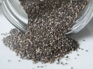 Can Birds Eat Chia seeds? (Benefits, Serving, What To Avoid + FAQ’s)
