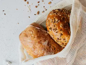 Can Baby Birds Eat Bread? 3 Risks Of Giving Baby Birds Bread