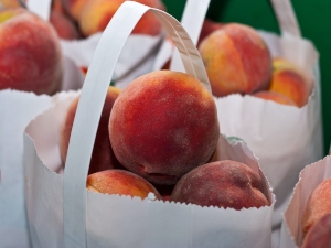 Can birds eat peaches?