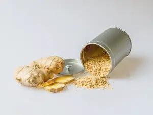 Can birds eat ginger? Benefits, Preparation, dried vs fresh ginger for birds