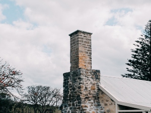 How Long Does It Take For A Bird Stuck In A Chimney To Die? (Answered +FAQ’s)