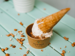 Can birds eat ice cream?