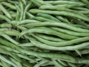 Can Birds Eat Green Beans? (Nutrients, Preparation, What To Avoid + FAQ’s)