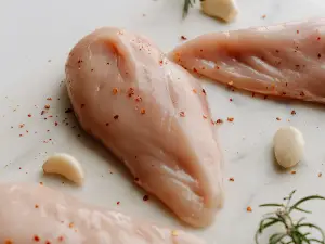 Do pigeons eat chicken? Benefits, Risks, Best Meat for Pigeons