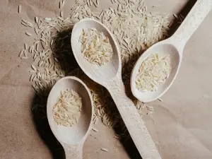 Can baby birds eat rice?