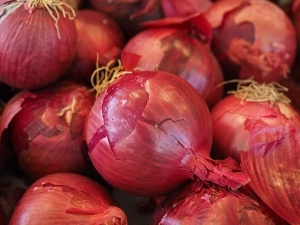 Can chickens eat onion peels? Benefits, Serving, What to avoid