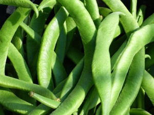 Can Chickens Eat Runner Beans? Benefits, Risks, and How to Serve