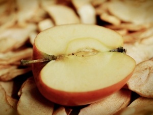 Can Chickens Eat Apple Cores? Dangers Of Chickens Eating Cores