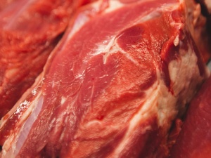 Do raccoons eat meat?