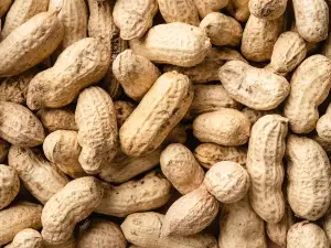 Do Raccoons Eat Peanuts? Nutrients, Serving, What To Avoid