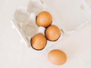 Do Raccoons Eat Eggs? How eggs Are Good For Raccoons