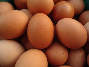 How to make eggshells stronger, methods that make a big difference