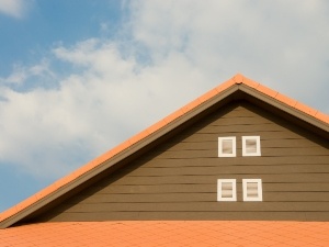 Is There A Rat Or Possum In Your Roof? (8 Ways To Tell)