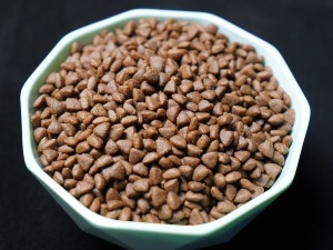 Can Possums Eat Cat Food? (Benefits, Risks, Dry Vs Wet Cat Food + FAQ’s)
