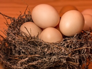 Chicken Eggs Not Hatching After 24 Days, (6 Things To Do + FAQ)