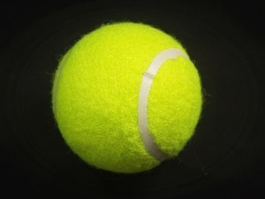 Can You Repel Raccoons Using Ammonia-Soaked Tennis Balls? (A Guide + FAQ’s)