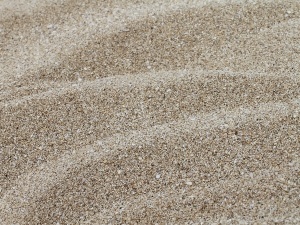 Chicken Grit Option: Sand (Can It Be Used As Grit? Answered)