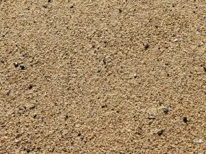 Can You Use Sand For Chicken Grit? (Which Is Best,+ Where To Find It)