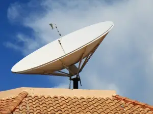 How To Stop Pigeons Nesting On Sky Dish (5 Effective Ways To Do This)