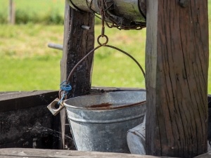 Can Chickens Drink Well Water? (A Quick Guide)